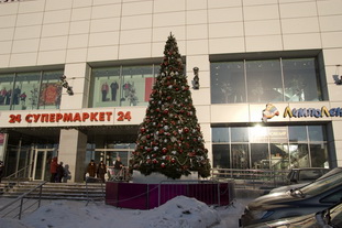 Купить елку Москва