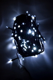  LED 